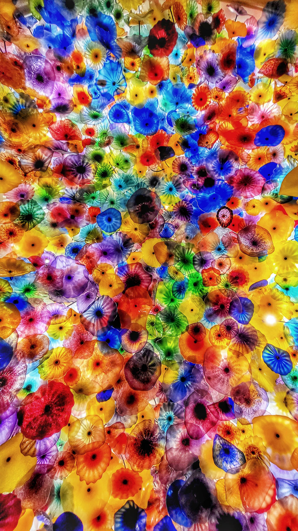 Embracing Elegance The Glass Ceiling of Bellagio Hotel, Las Vegas