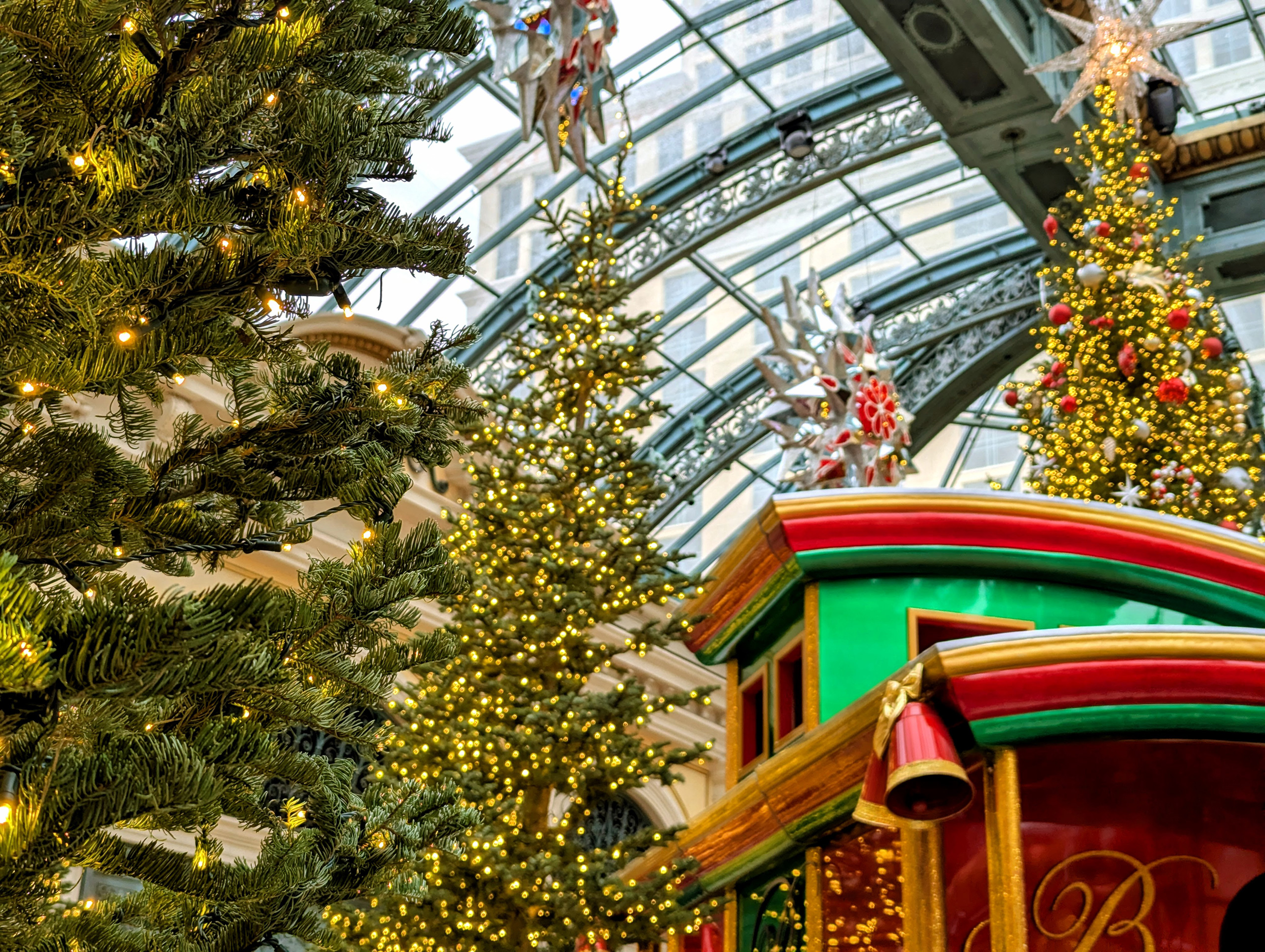 Bellagio Conservatory & Botanical Gardens