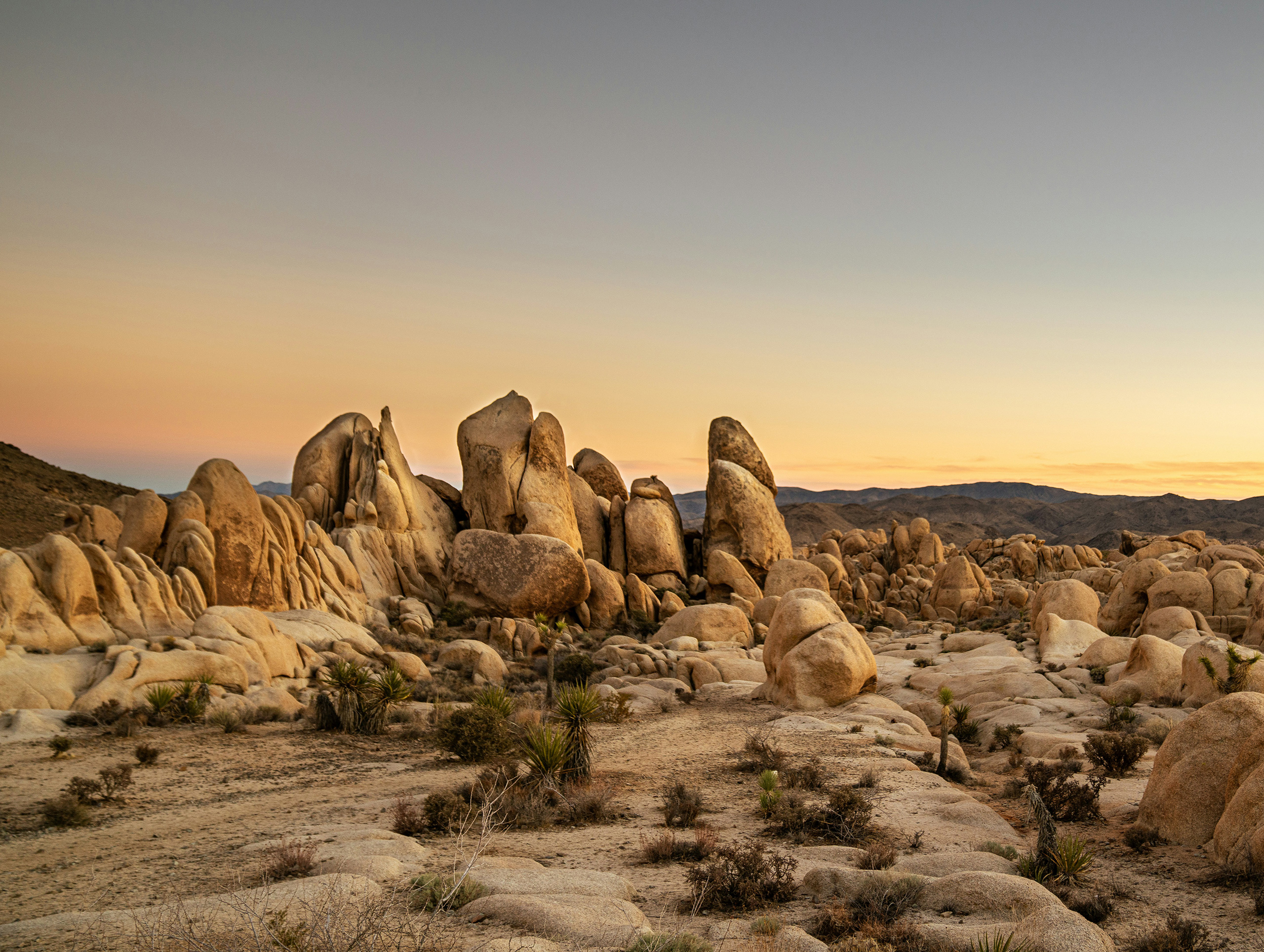 Joshua Tree National Park, California, USA