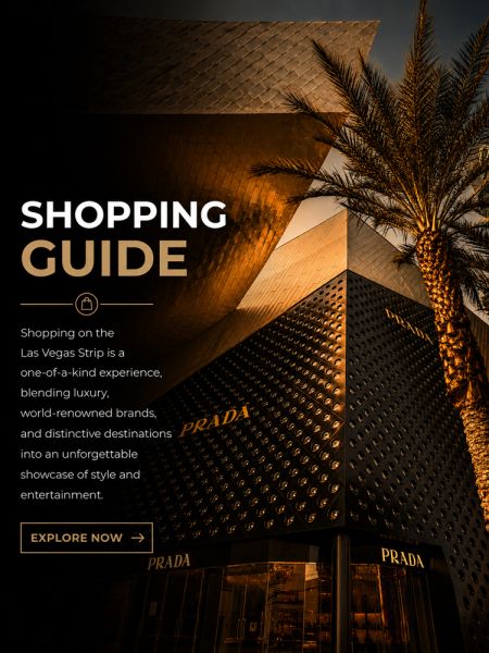 Las Vegas Shopping Guide